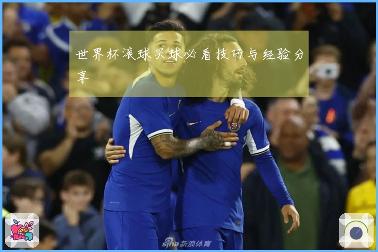 世界杯滚球买球必看技巧与经验分享