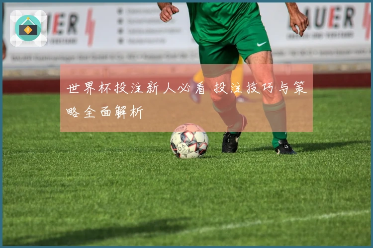 世界杯投注新人必看 投注技巧与策略全面解析