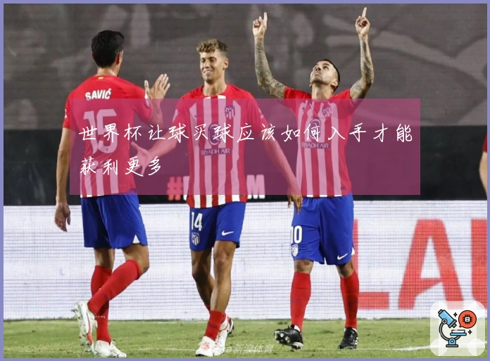 世界杯让球买球应该如何入手才能获利更多