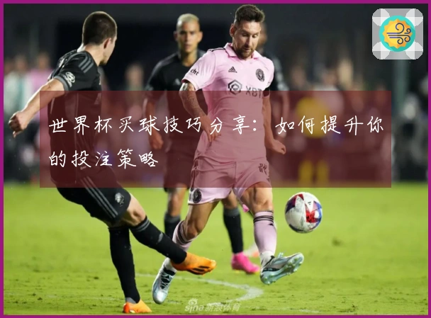 世界杯买球技巧分享：如何提升你的投注策略