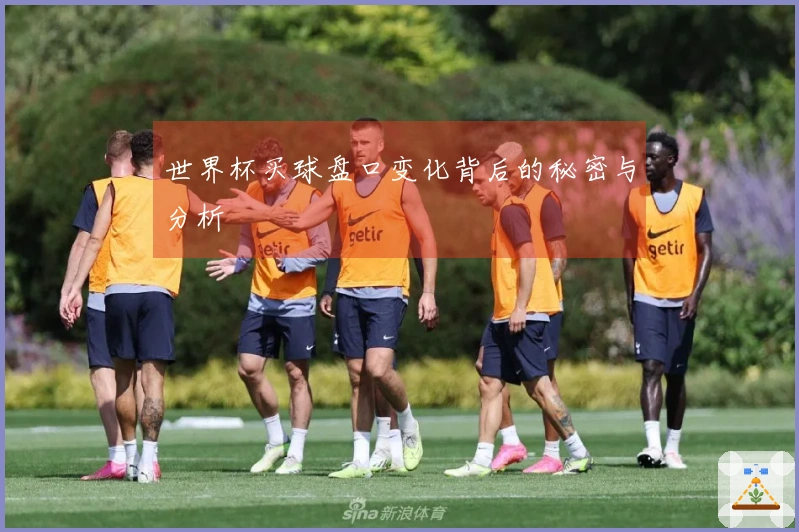 世界杯买球盘口变化背后的秘密与分析