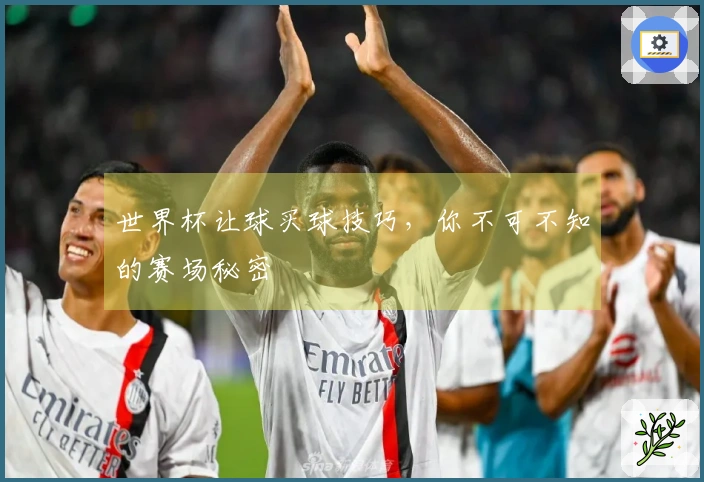世界杯让球买球技巧,你不可不知的赛场秘密