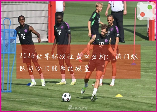 2026世界杯投注盘口分析：热门球队与冷门赔率的较量