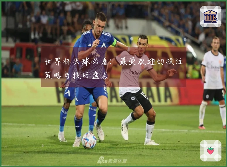 世界杯买球必看：最受欢迎的投注策略与技巧盘点