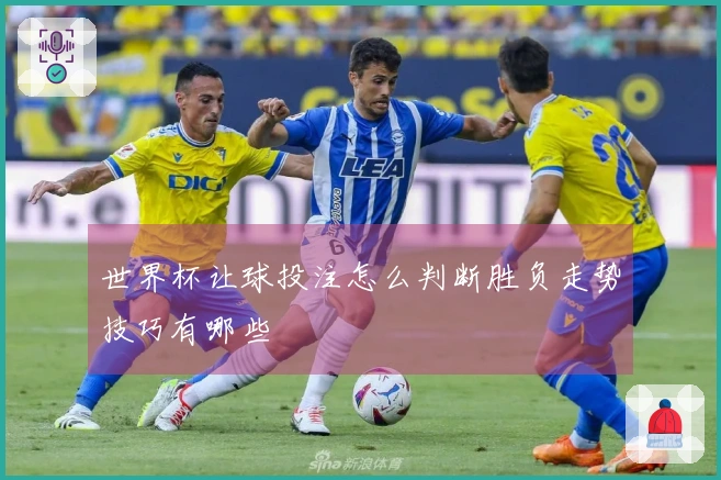 世界杯让球投注怎么判断胜负走势技巧有哪些