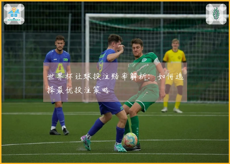 世界杯让球投注赔率解析：如何选择最优投注策略