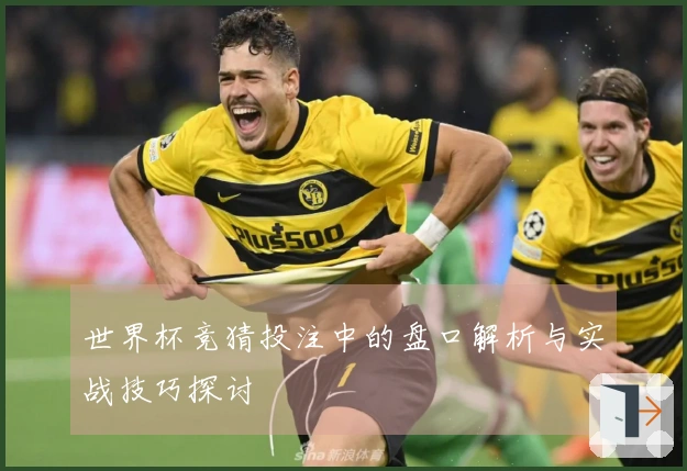 世界杯竞猜投注中的盘口解析与实战技巧探讨