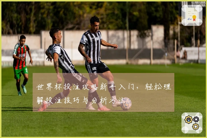 世界杯投注攻略新手入门，轻松理解投注技巧与分析方法