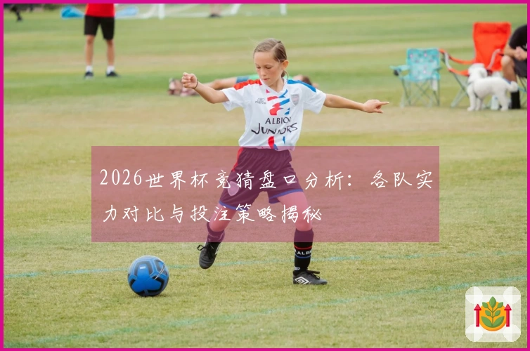 2026世界杯竞猜盘口分析：各队实力对比与投注策略揭秘