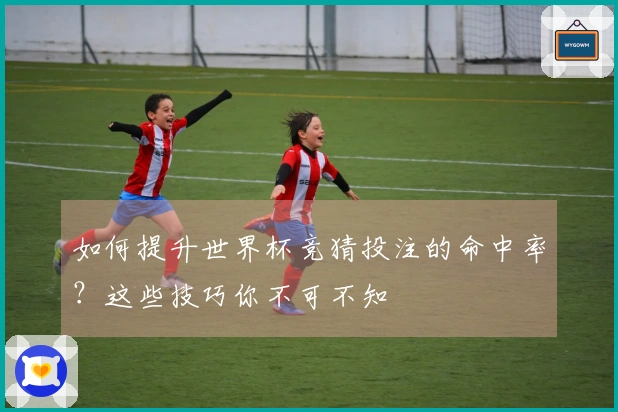 如何提升世界杯竞猜投注的命中率？这些技巧你不可不知