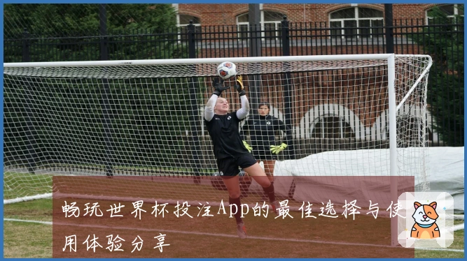 畅玩世界杯投注App的最佳选择与使用体验分享