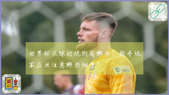 世界杯买球的规则有哪些？新手玩家应该注意哪些细节？