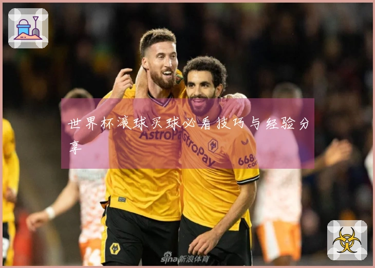 世界杯滚球买球必看技巧与经验分享